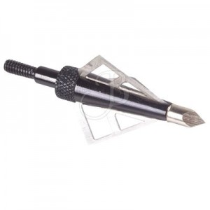 SKORPION PUNTA CACCIA B...