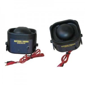 QUAGLIAIA 4 CANTI NATURAL...