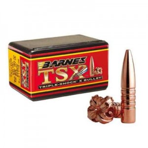 BARNES TSX 458'' (45/70)...