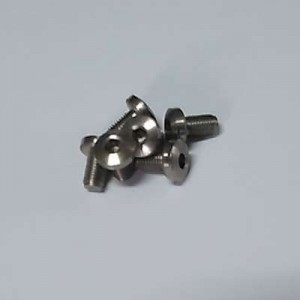 SCREW  SS-STEEL WITH AN ALLEN